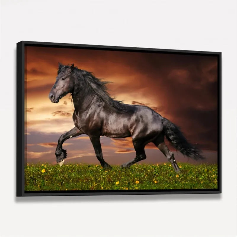 Quadro Cavalo Majestade Equina
